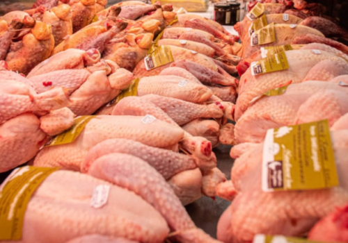 Vente directe volailles crues