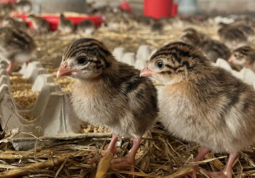 IMG_3913 10.14.34 10.20.04