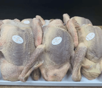 Capture d’écran 2025-08-07 à 16.03.16